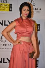 Anjana Sukhani at Grazia Young awards red carpet in Mumbai on 13th April 2014